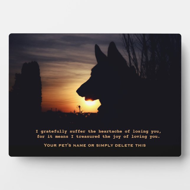 Hermosa placa conmemorativa del Mascota Pastor Ale (Frente)