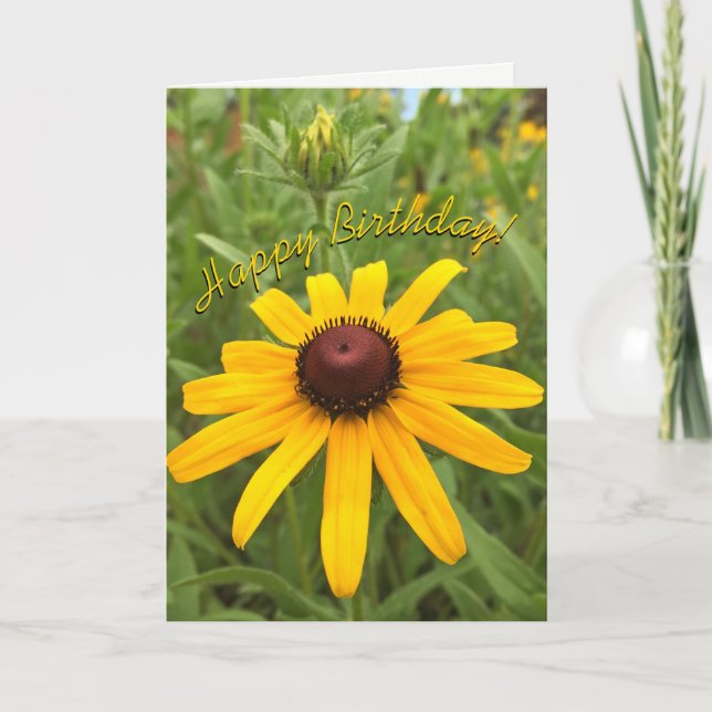 Hermosa plantilla de flores Naranja Rudbeckia (Anverso)