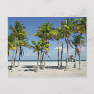 Hermosa playa soleada en postal de la tarde