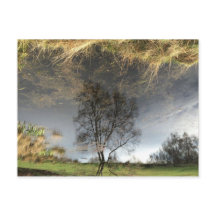 Hermosa postal de árbol de fotografía reflectante