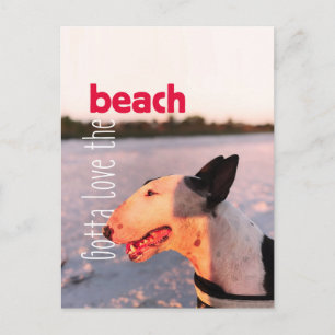 Hermosa postal de Bull Terrier "Beach"