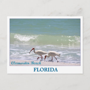 Hermosa postal de Clearwater Beach Florida