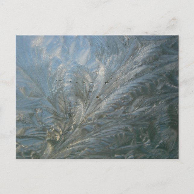 Hermosa postal de degustación de flores de hielo (Anverso)