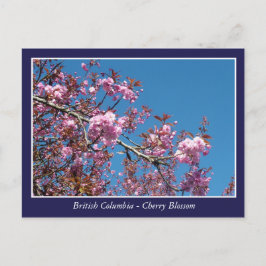 hermosa postal de flor de cerezo