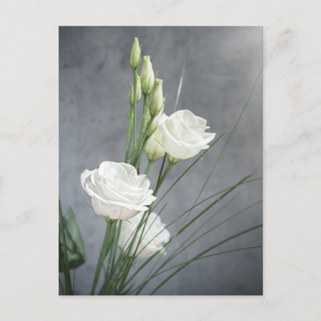 Hermosa postal de flores blancas de Lisianthus (Anverso)