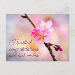 Hermosa postal de flores de cerezo Sakura