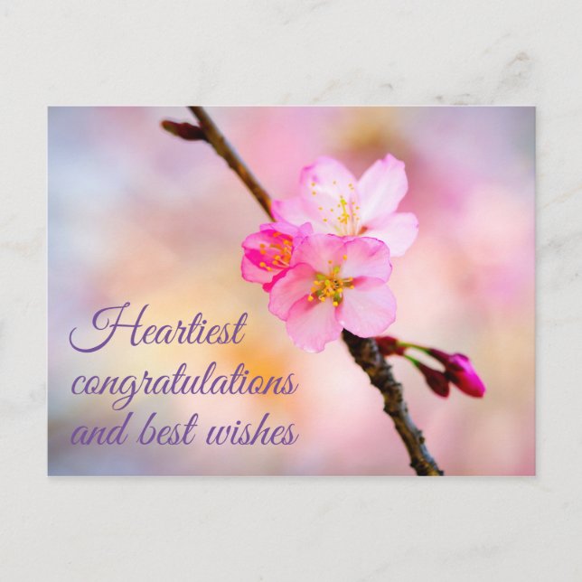 Hermosa postal de flores de cerezo Sakura (Anverso)