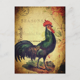 Hermosa postal de gallo de época