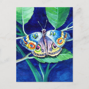 Hermosa postal de mariposa