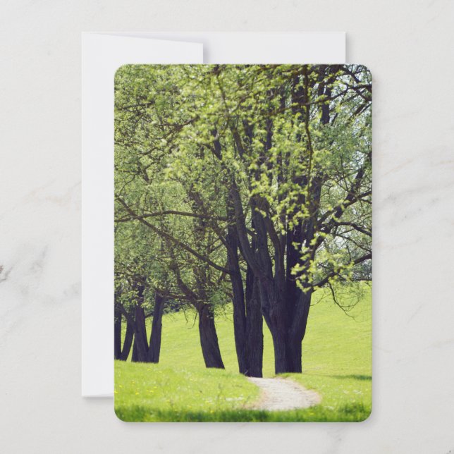 Hermosa pradera (Anverso)