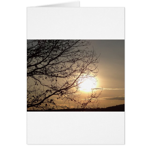 Hermosa puesta de sol con ramas (Frente)