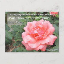 Hermosa Rosa en la postal Bloom con cita de Lincol