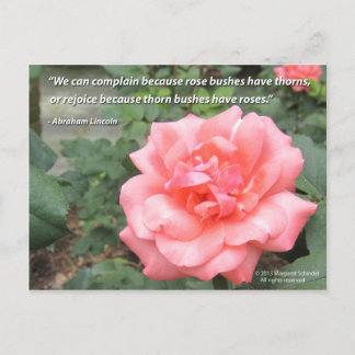 Hermosa Rosa en la postal Bloom con cita de Lincol