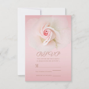 Hermosa Rosa Húmeda Suave Rosa Elegante RSVP de Bo