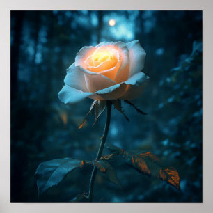 Hermosa Rosa Naturaleza Arte Interiores Cálidos