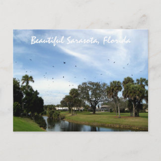 Hermosa Sarasota, postal de Florida