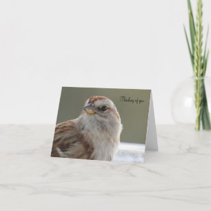 Hermosa Sparrow - Tarjeta de saludo en blanco