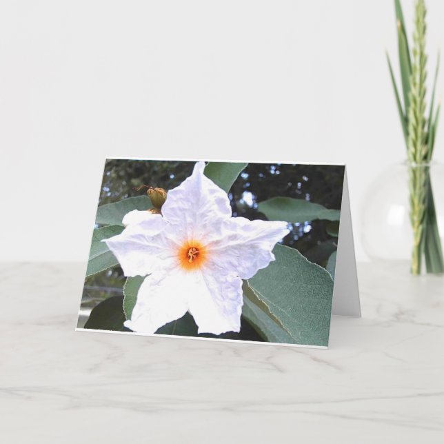 Hermosa tarjeta blanca de bienvenida (Anverso)