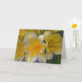 Hermosa tarjeta de arte Cream Yellow Gold Lily Flo
