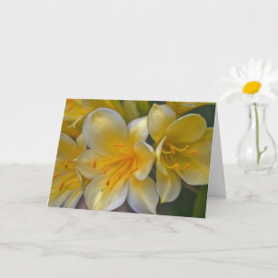 Hermosa tarjeta de arte Cream Yellow Gold Lily Flo