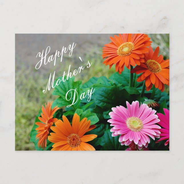 Hermosa tarjeta de baile Gerbera Daisy para el Día (Anverso)