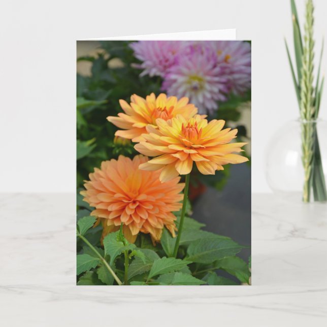 Hermosa tarjeta de bienvenida de flores naranja da (Anverso)