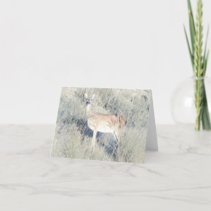 Hermosa tarjeta de bienvenida Fawn - Blank