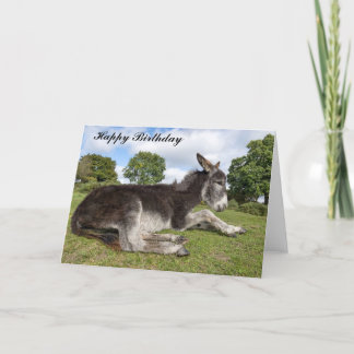 Hermosa tarjeta de cumpleaños de burro para bebé