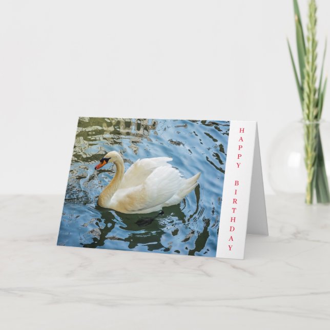 Hermosa tarjeta de cumpleaños de cisne blanco (Anverso)