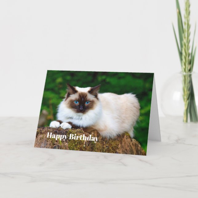 Hermosa tarjeta de cumpleaños de foto de gato siam (Anverso)