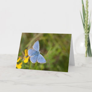 Hermosa tarjeta de felicitación Adonis Blue Butter