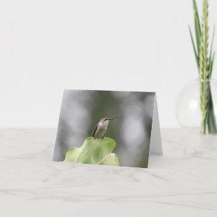 Hermosa tarjeta de felicitación de Hummingbird