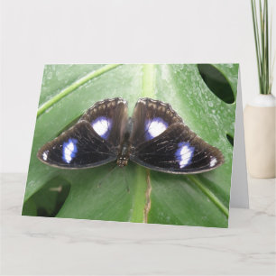 Hermosa tarjeta de felicitación de mariposa con ma