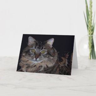 Hermosa tarjeta de felicitación para gato Maine Co