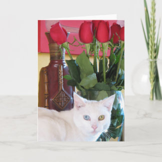 ¡Hermosa tarjeta de felicitación para gatos!