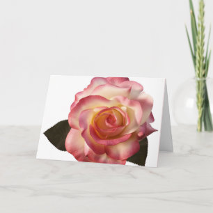 Hermosa tarjeta de felicitación Rosa.