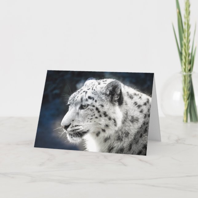 Hermosa tarjeta de felicitación Snow Leopard (Anverso)