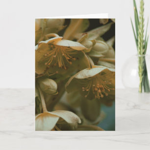 Hermosa tarjeta de flor floral fotográfica