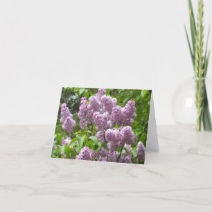 Hermosa tarjeta de nota Lilac Bush Blank