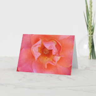 Hermosa tarjeta de notas de arte Rosa rosa de Rubo