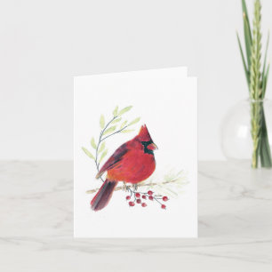 Hermosa tarjeta de notas del cardenal rojo