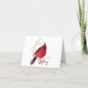 Hermosa tarjeta de notas del cardenal rojo