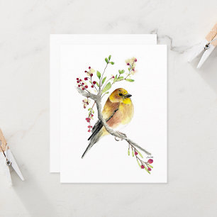 Hermosa tarjeta de notas para el pájaro de Goldfin