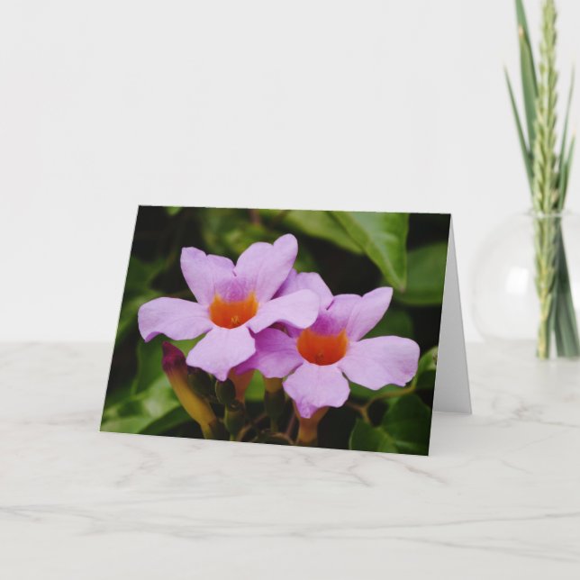 Hermosa tarjeta de notas rosa Mandevilla Flowers (Anverso)