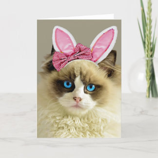 Hermosa tarjeta de Pascua para conejitos de gato c