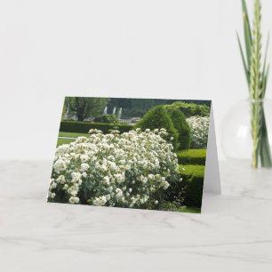Hermosa tarjeta de Personalizado de fotografía flo