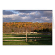 Hermosa tarjeta de Personalizado fotográfico de co