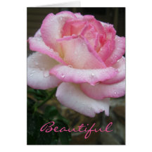 Hermosa tarjeta de Rosa Ecclesiastes 3:11