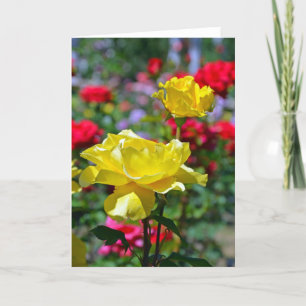 Hermosa tarjeta de saludo de rosas amarillas