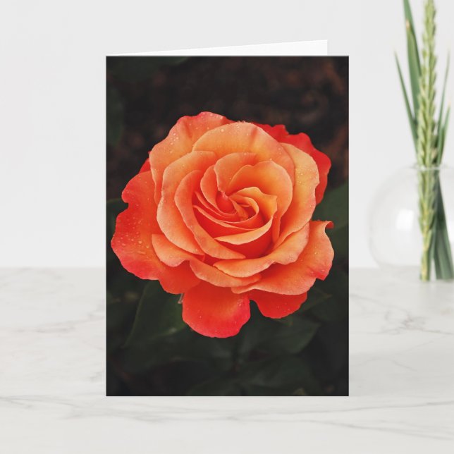 Hermosa tarjeta de saludo rosa naranja único (Anverso)